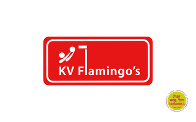 kv flamingo canva kv flamingo canva