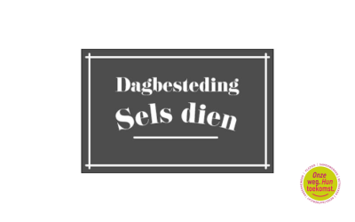 sels dien canva